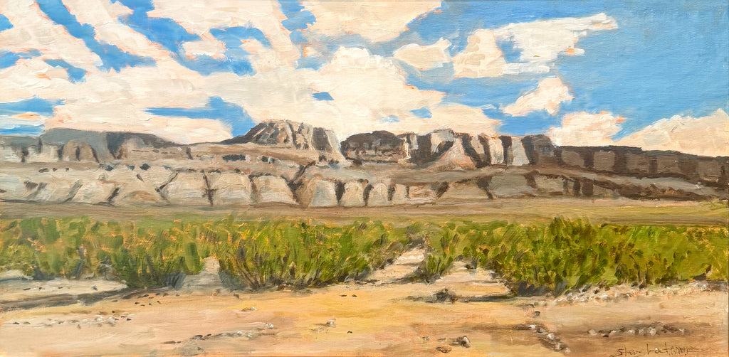 Organ Mountains New Mexico