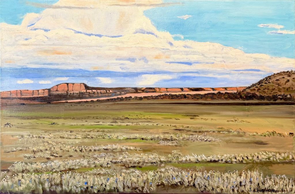 Wide Open Mesa
