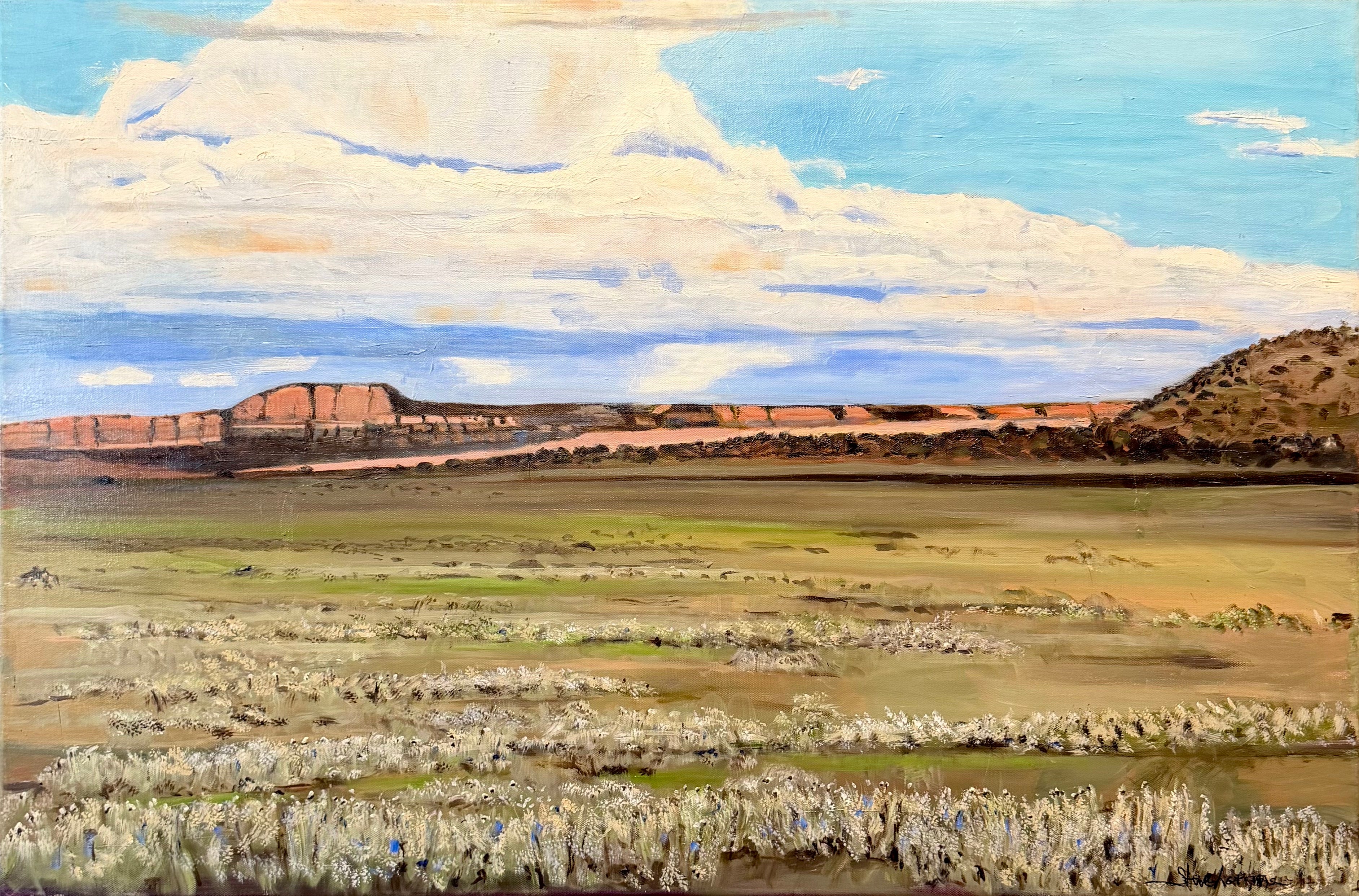 Wide Open Mesa